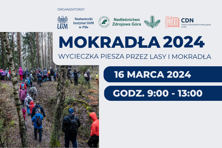 Mokradła 2024