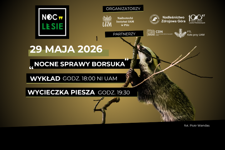 UWAGA na Nocne sprawy BORSUKA!