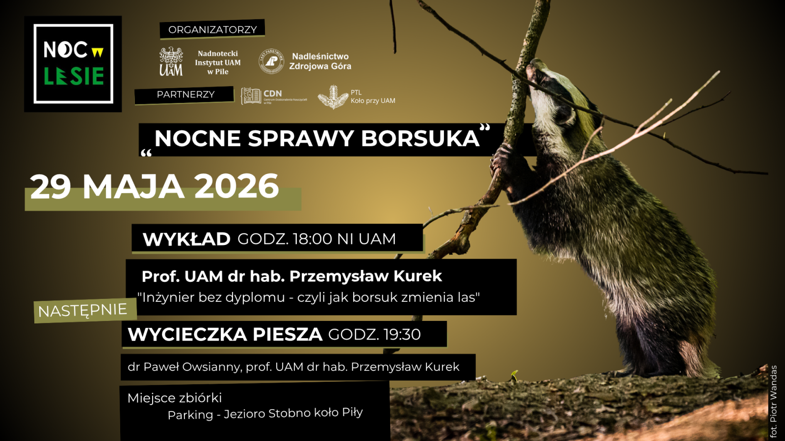 UWAGA na Nocne sprawy BORSUKA!
