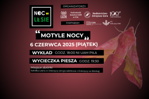 Plakat wydarzenia Noc w Lesie przedstawiający motyla