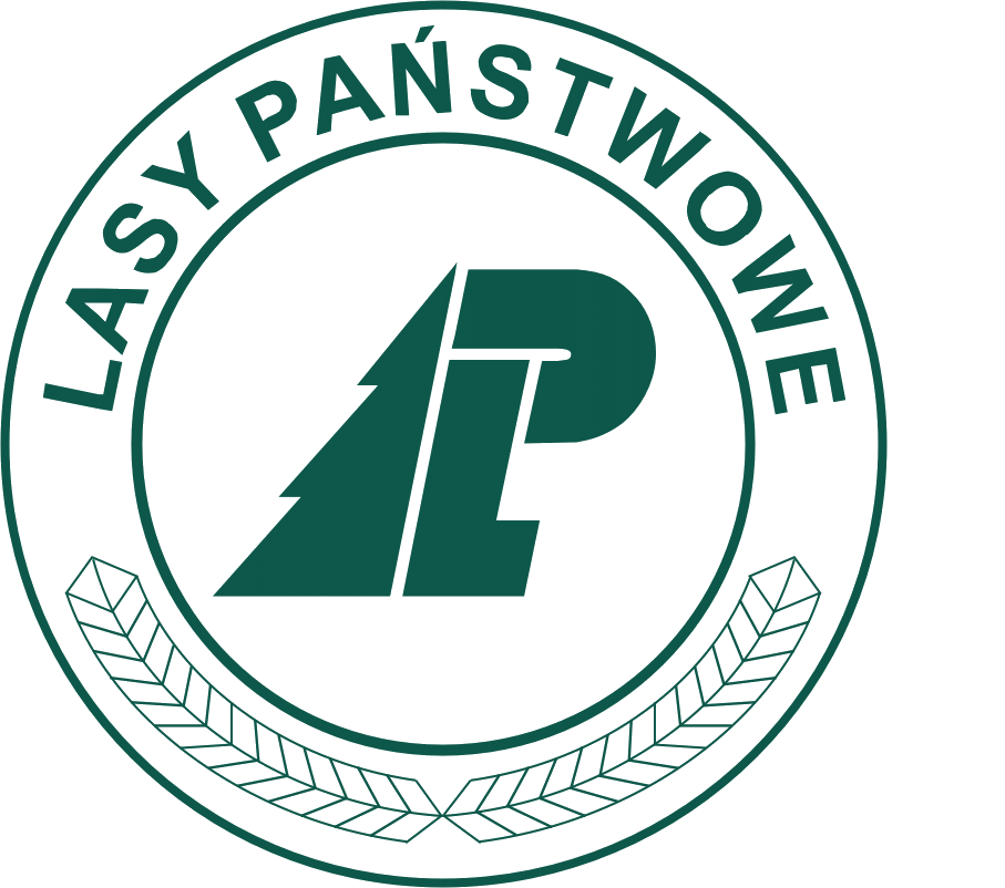 Logo LASY